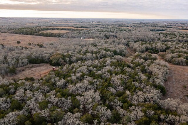 0000TBD21/-AC Grassyville Rd, Paige, TX 78659 - photo 17