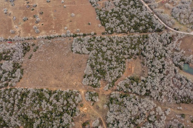 0000TBD21/-AC Grassyville Rd, Paige, TX 78659 - photo 22