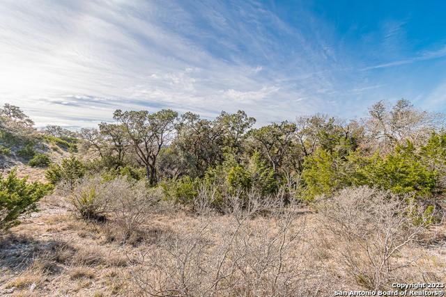 126 Riddle Rd, Spring Branch, TX 78070 - photo 15