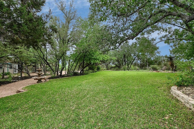 view of yard