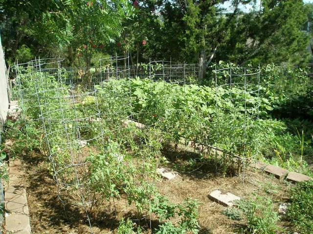 view of nature