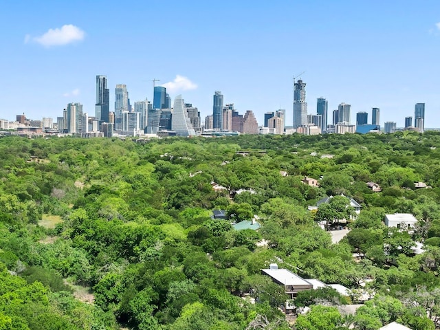 1313 Spyglass Dr, Austin, TX 78746 - city view