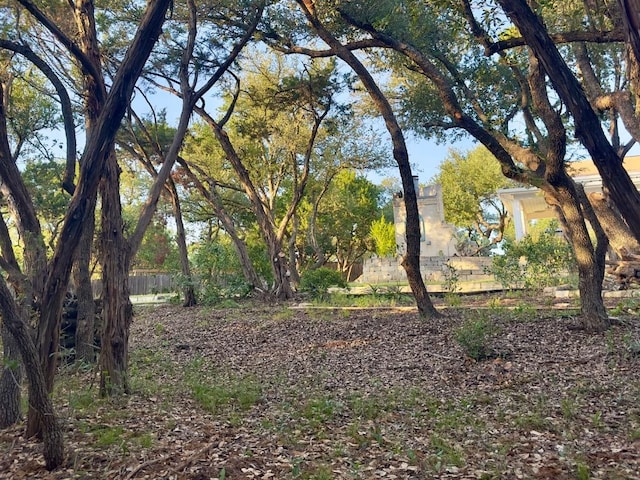 10 Scarlet Rdg, Austin, TX 78737 - view of yard