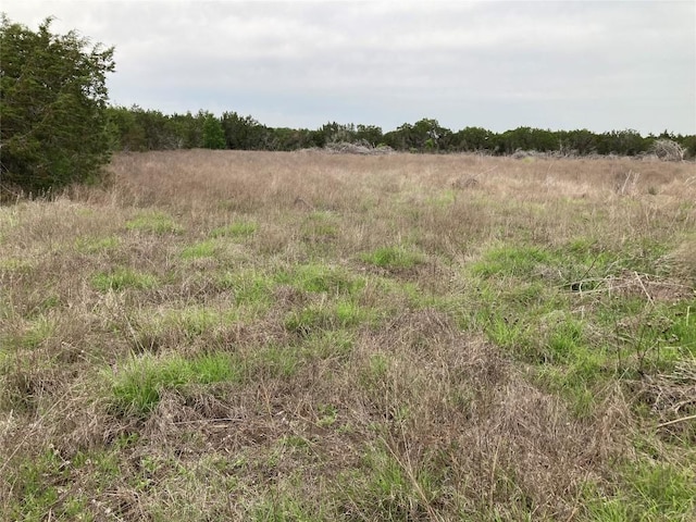 100 County Road 220, Florence, TX 76527
