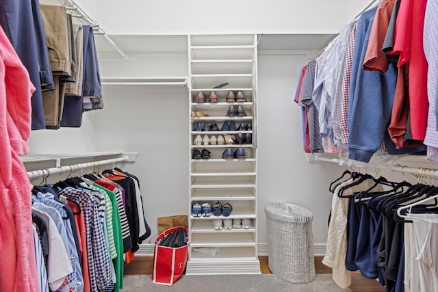 view of spacious closet