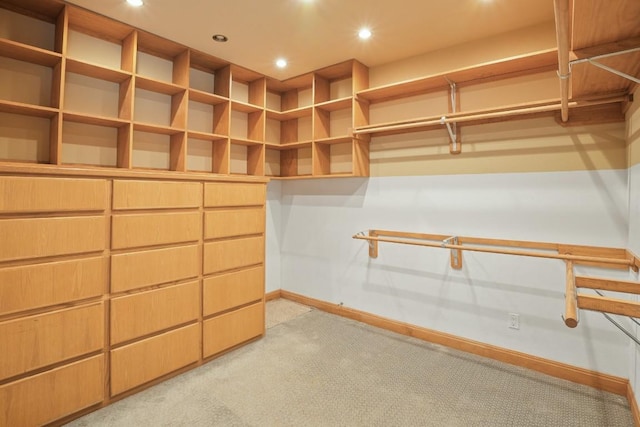 507 Arbors Cir, Elgin, TX 78621 - walk in closet with light carpet