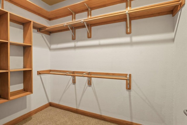 507 Arbors Cir, Elgin, TX 78621 - walk in closet featuring carpet