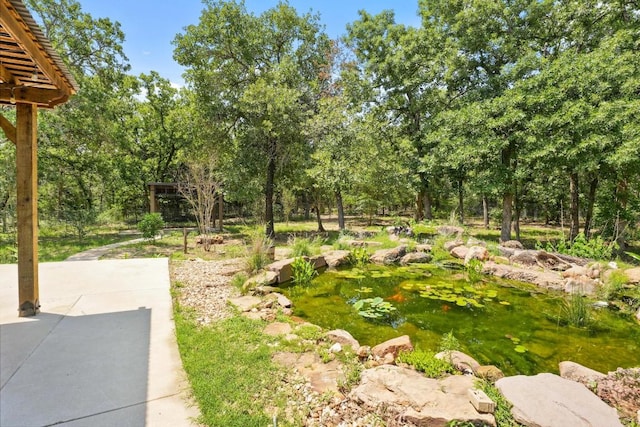 507 Arbors Cir, Elgin, TX 78621 - view of yard with a small pond, view of scattered trees, and a patio area