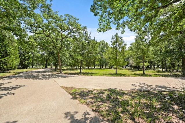507 Arbors Cir, Elgin, TX 78621 - view of community