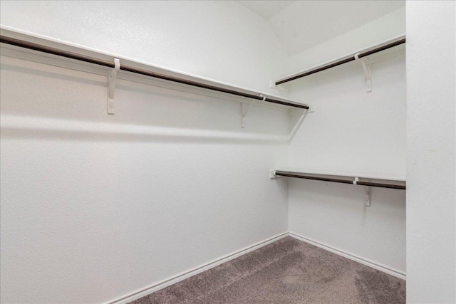 13305 Henneman Dr, Pflugerville, TX 78660 - spacious closet with dark colored carpet
