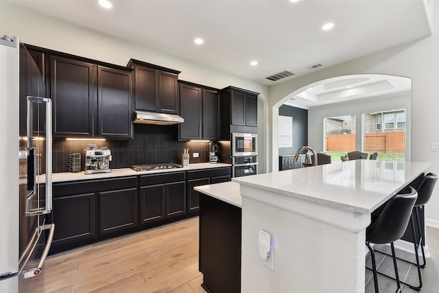 361 Wild Pecan Loop, Buda, TX 78610 - kitchen with arched walkways, appliances with stainless steel finishes, a kitchen breakfast bar, under cabinet range hood, and light wood-type flooring