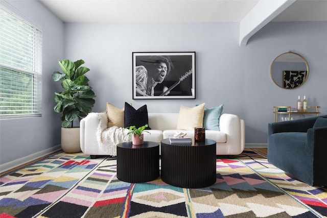 living room with baseboards