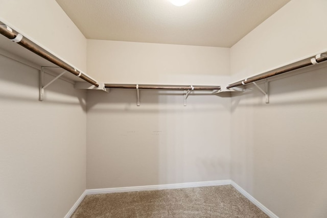 447 Discovery Dr, Kyle, TX 78640 - spacious closet featuring carpet flooring