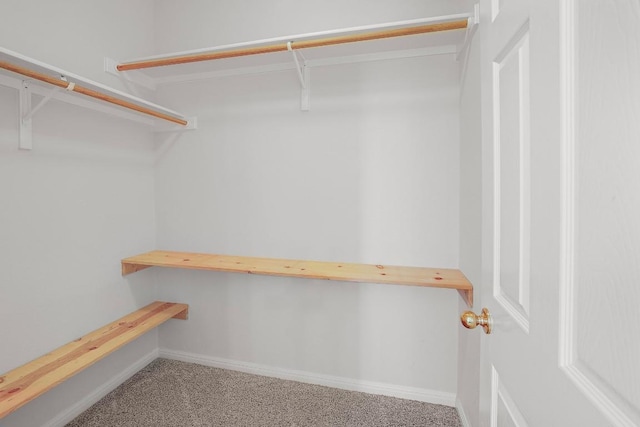 walk in closet featuring carpet floors