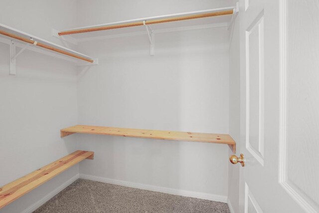 11100 Alison Parke Trl, Austin, TX 78750 - spacious closet with carpet flooring
