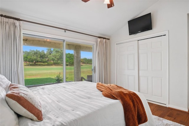 bedroom with lofted ceiling, wood finished floors, a closet, and multiple windows