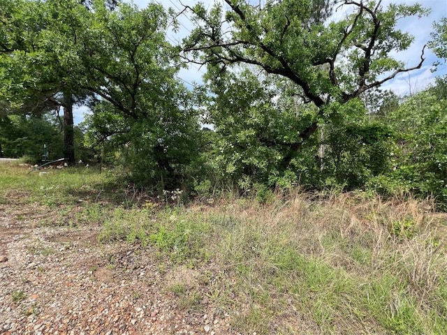 LOT1672TBD Moku Ct, Bastrop, TX 78602