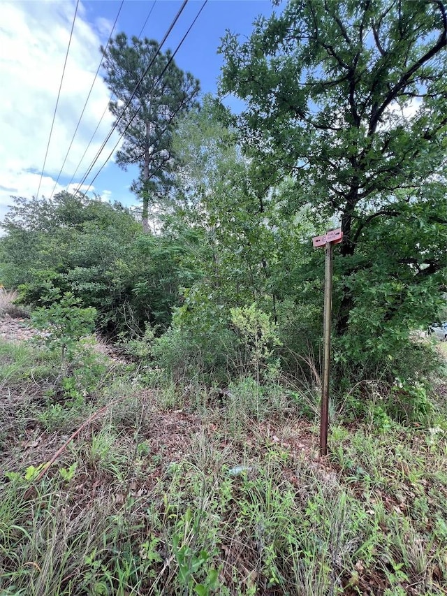 LOT1672TBD Moku Ct, Bastrop, TX 78602