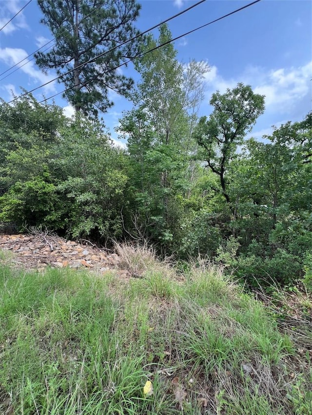 LOT1672TBD Moku Ct, Bastrop, TX 78602