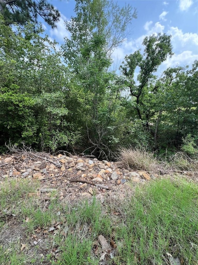 LOT1672TBD Moku Ct, Bastrop, TX 78602
