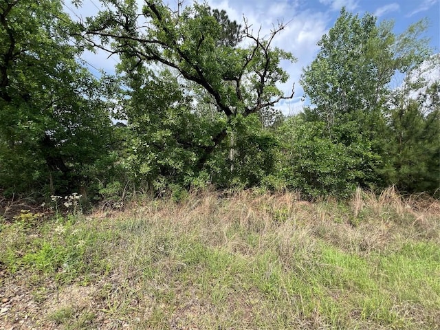 LOT1672TBD Moku Ct, Bastrop, TX 78602