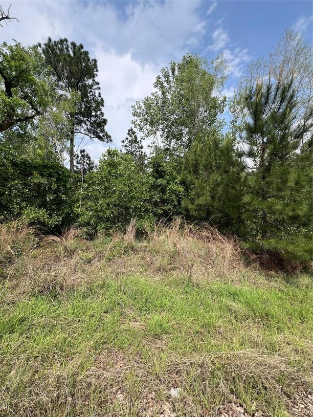 LOT1672TBD Moku Ct, Bastrop, TX 78602