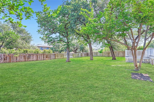 14308 Homestead Village Cir, Austin, TX 78717 - view of yard