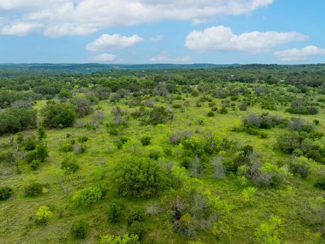 00 Whitetail Dr, Dripping Springs, TX 78620 - photo 13
