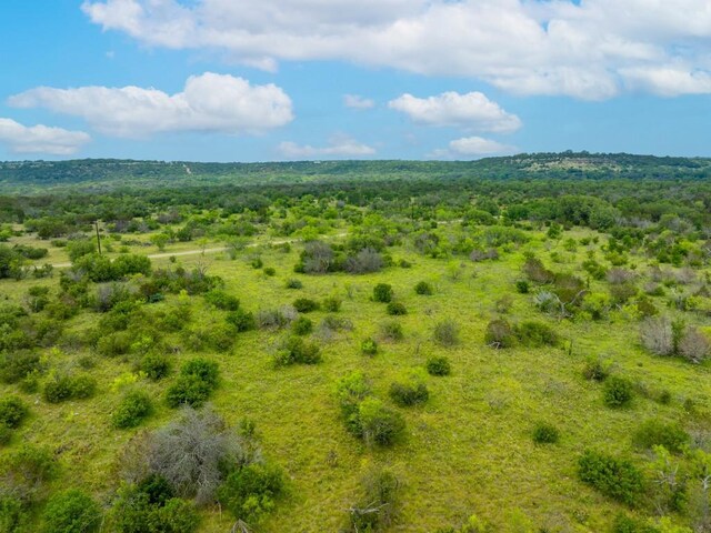 00 Whitetail Dr, Dripping Springs, TX 78620 - photo 17