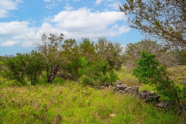 00 Whitetail Dr, Dripping Springs, TX 78620 - photo 15