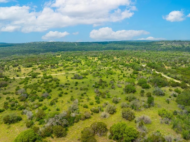 00 Whitetail Dr, Dripping Springs, TX 78620 - photo 5