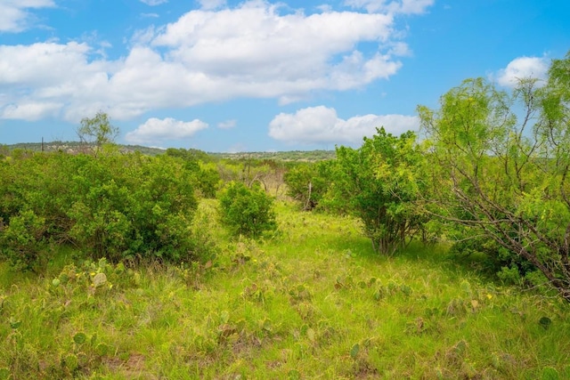 00 Whitetail Dr, Dripping Springs, TX 78620 - photo 12