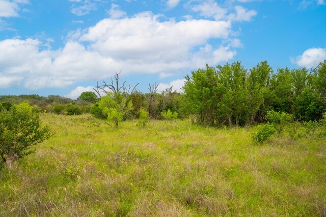 00 Whitetail Dr, Dripping Springs, TX 78620 - photo 14