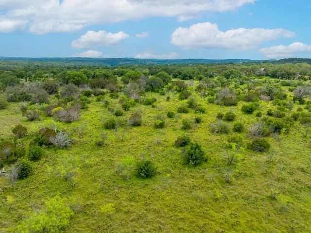 00 Whitetail Dr, Dripping Springs, TX 78620 - photo 9