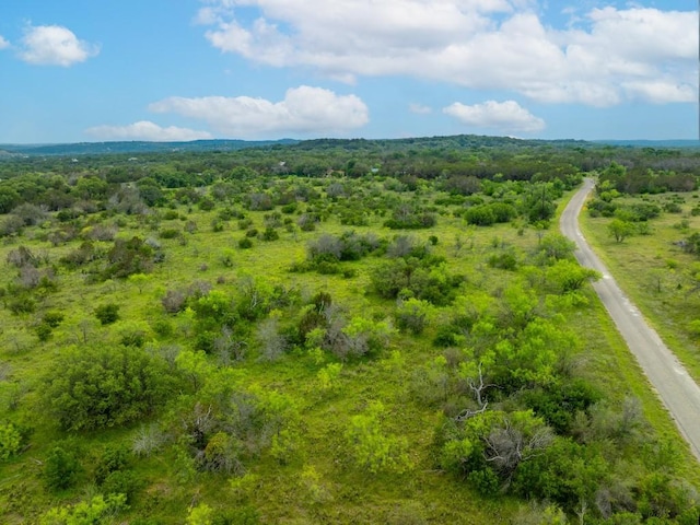 00 Whitetail Dr, Dripping Springs, TX 78620 - photo 10