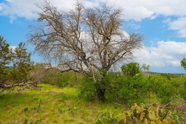 00 Whitetail Dr, Dripping Springs, TX 78620 - photo 23