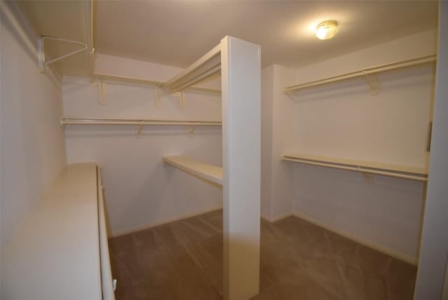 walk in closet with carpet flooring