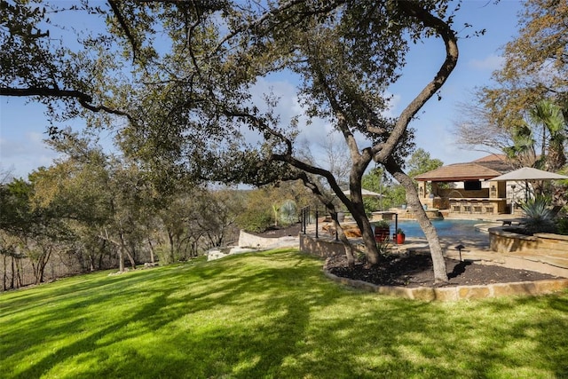 view of yard with a patio and an outdoor pool