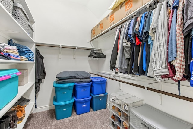 spacious closet with carpet flooring