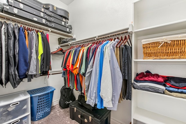 walk in closet with carpet floors