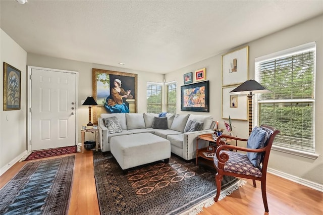 7685 Northcross Dr Unit 304, Austin, TX 78757 - living area featuring wood finished floors, healthy amount of natural light, and a textured ceiling