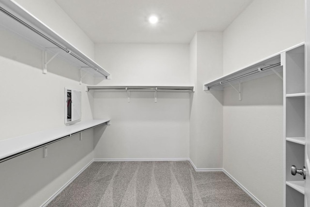 3756 Liberi Ln, Round Rock, TX 78665 - spacious closet featuring light carpet