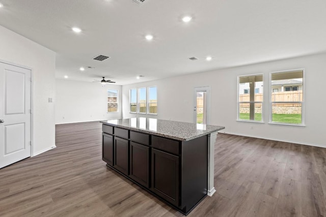 3756 Liberi Ln, Round Rock, TX 78665 - kitchen with open floor plan, light wood-type flooring, a center island, recessed lighting, and light stone countertops