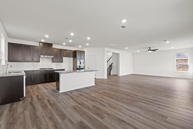 3756 Liberi Ln, Round Rock, TX 78665 - kitchen with a sink, a center island, under cabinet range hood, open floor plan, and a ceiling fan