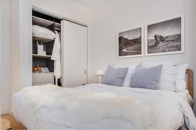 bedroom with wood finished floors and a closet