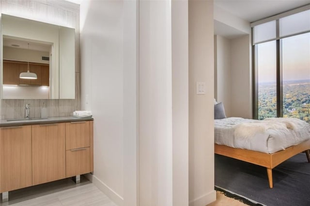 bathroom with baseboards, tasteful backsplash, wood finished floors, and vanity