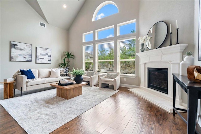4211 Front Range Ln, Austin, TX 78732 - living area with a glass covered fireplace, dark wood finished floors, high vaulted ceiling, and baseboards