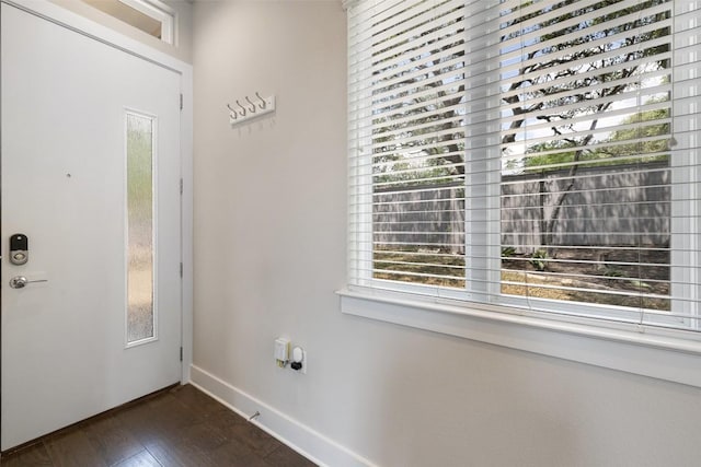 foyer entrance with baseboards, dark wood-type flooring, and a wealth of natural light