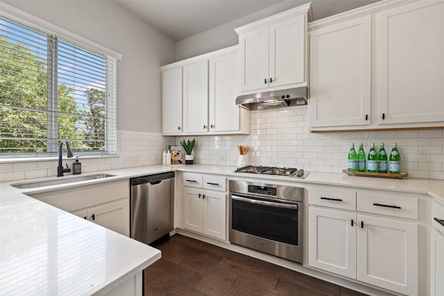 kitchen featuring a sink, light countertops, stainless steel appliances, and under cabinet range hood