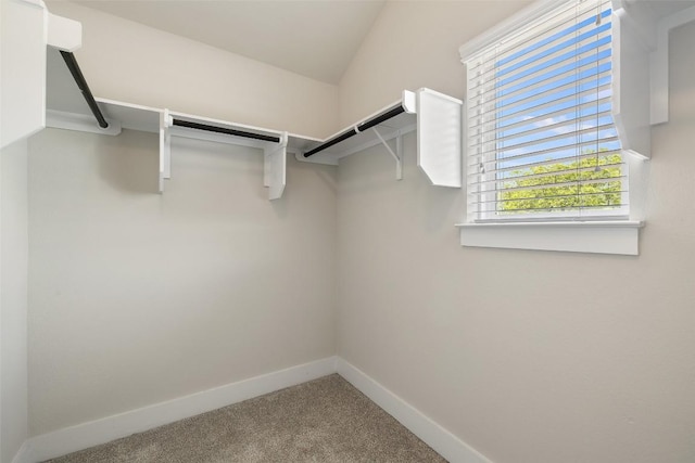 spacious closet with carpet flooring